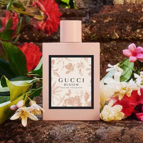 perfumy gucci bloom|gucci bloom perfume smell.